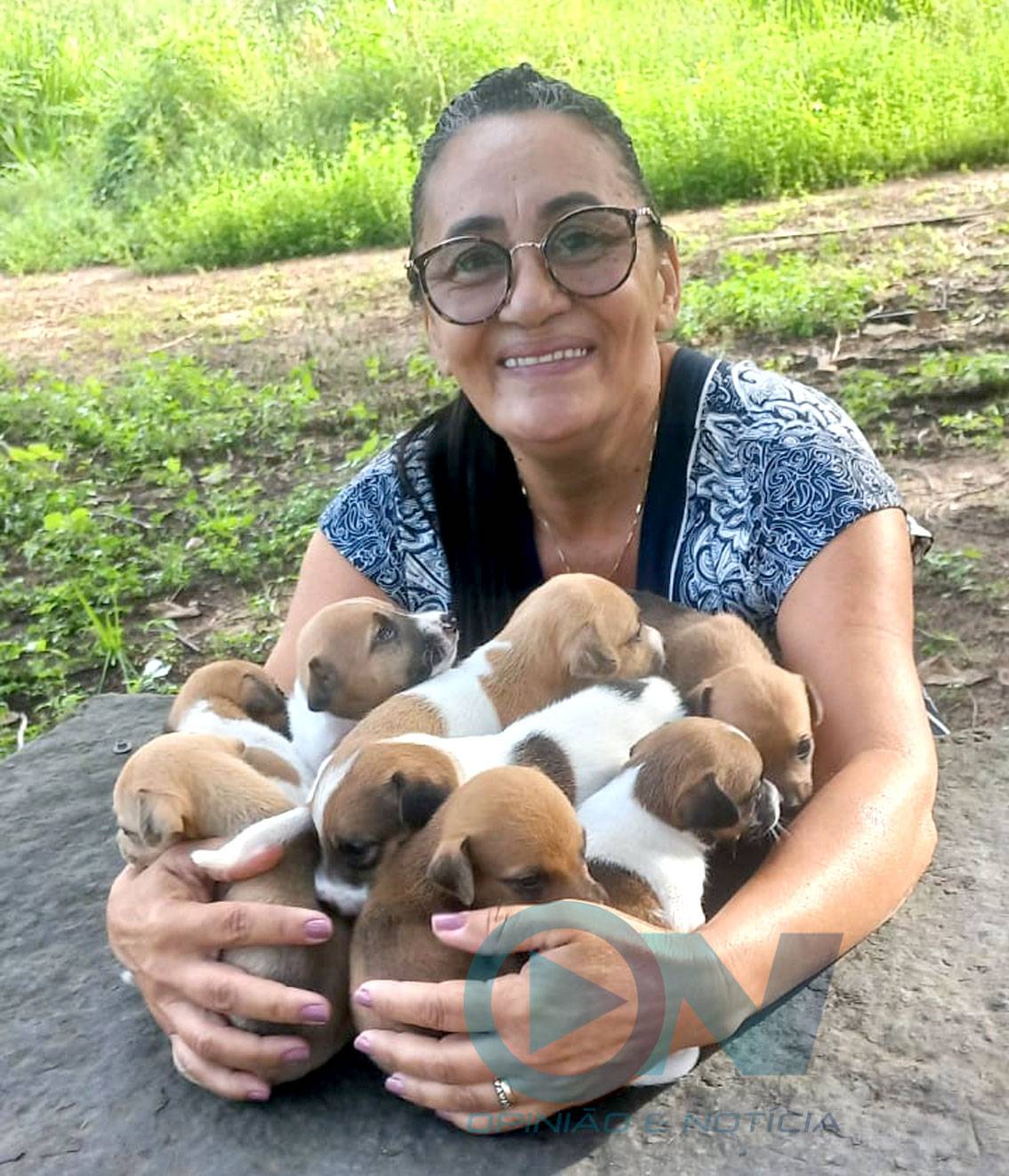 Castelo do Piauí tem sua primeira associação de proteção animal com decreto de utilidade pública